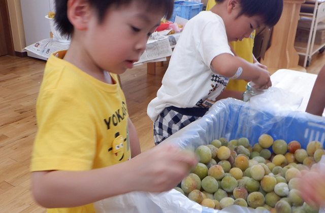 五感を育む食育